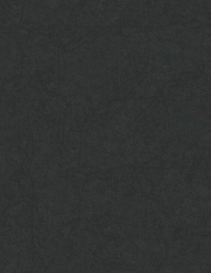 Black Aurora